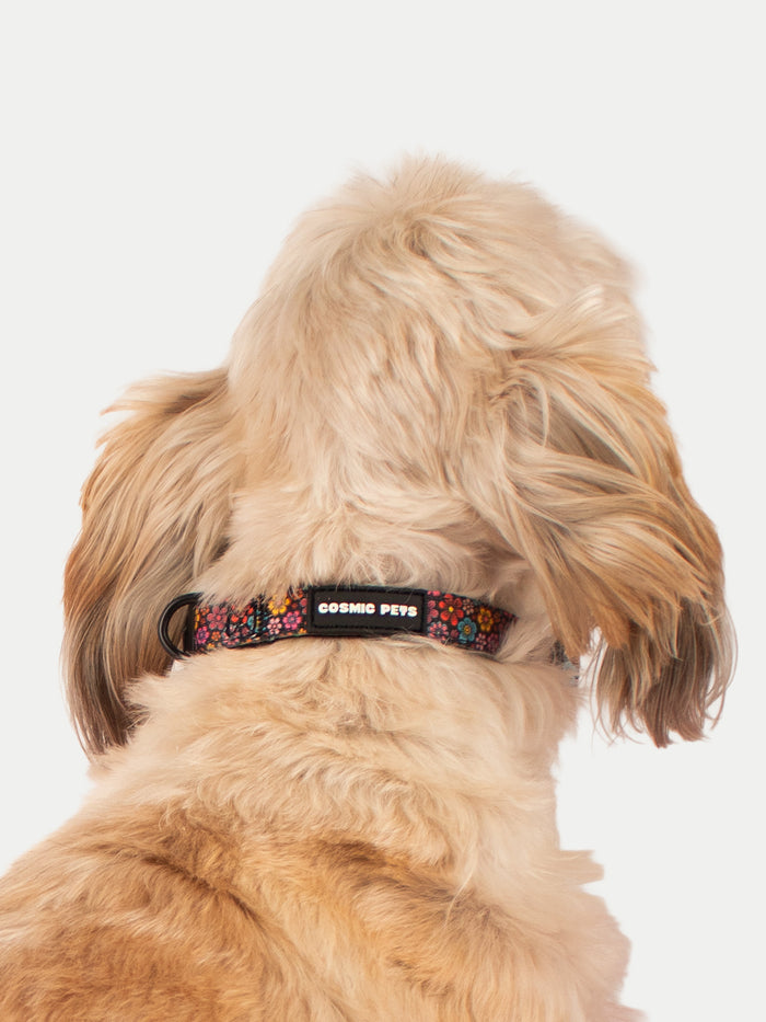 Cosmic Pets Dog Collar | Floral-Image 3