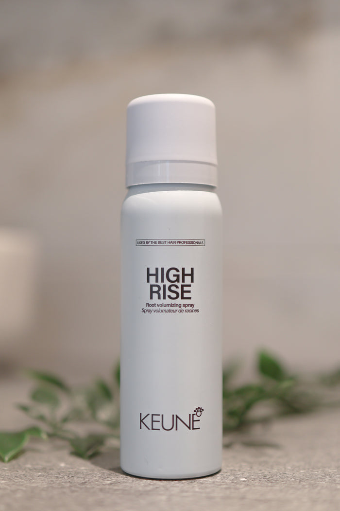 Keune Style High Rise Travel Size CFH Care For Hair