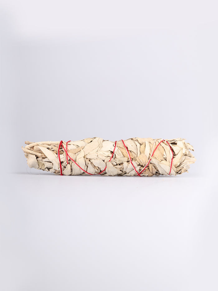 White Sage Smudge Stick | One Colour-Image 3