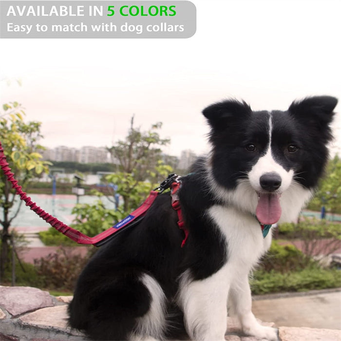 4 in 1 Shock Absorbing Dog Leash