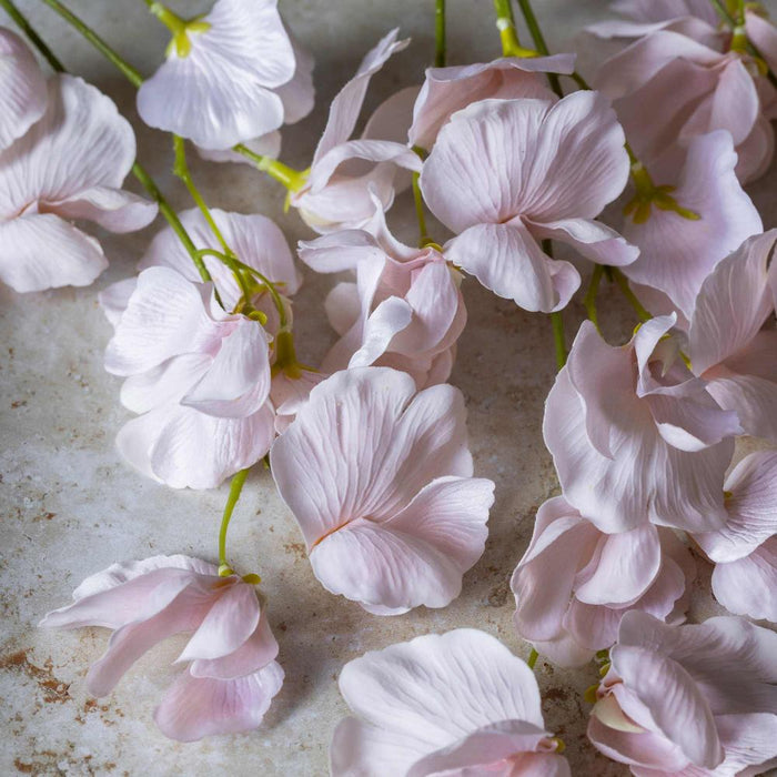 Close-up of pink flowers on a textured surface
