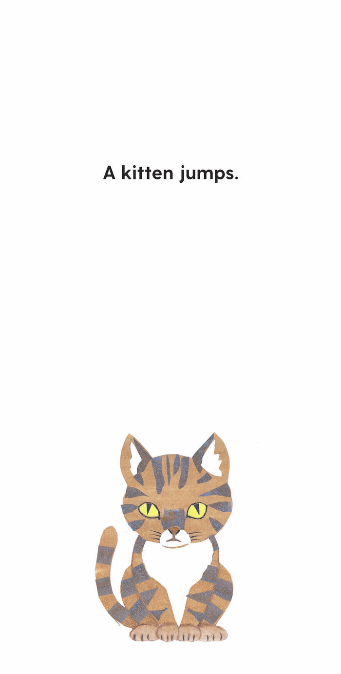 Book - Jump (Gecko Press)