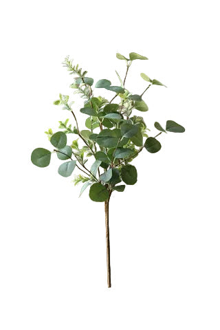 Carawyn Mixed Eucalyptus Bush | 18″