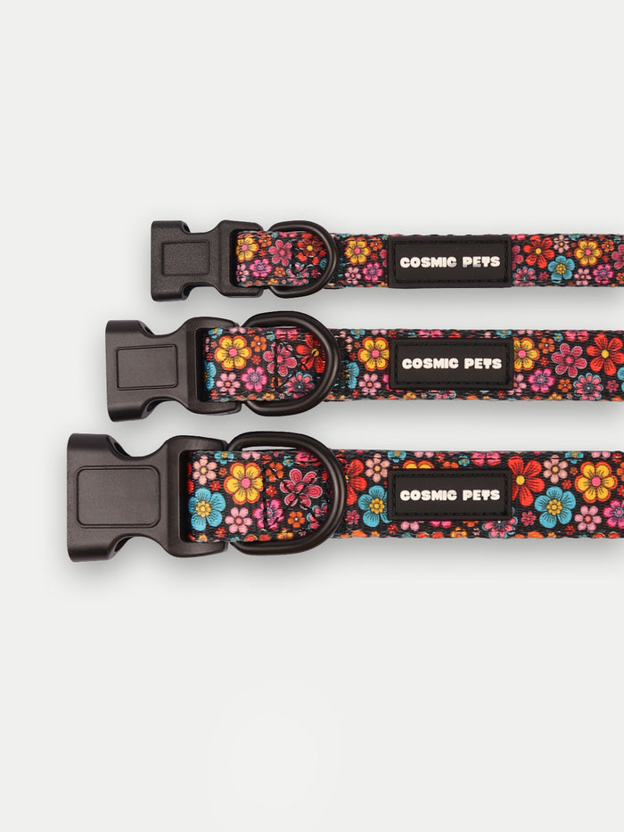 Cosmic Pets Dog Collar | Floral-Image 2