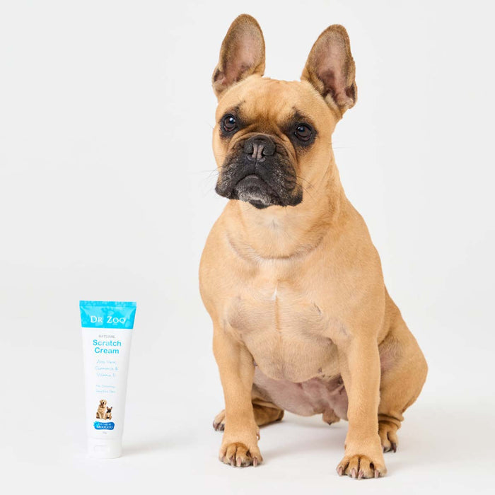 Dog with a tube of Dr Zoo Scratch Cream on a white background