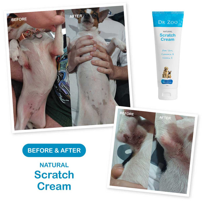 Before and after showing the effects of Dr. Zoo Natural Scratch Cream on a dog's skin.