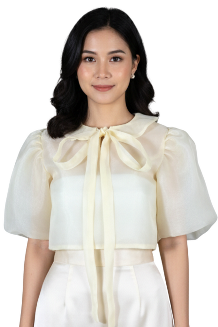 Modern Filipiniana Kimona With Collar and Ribbon in Beige