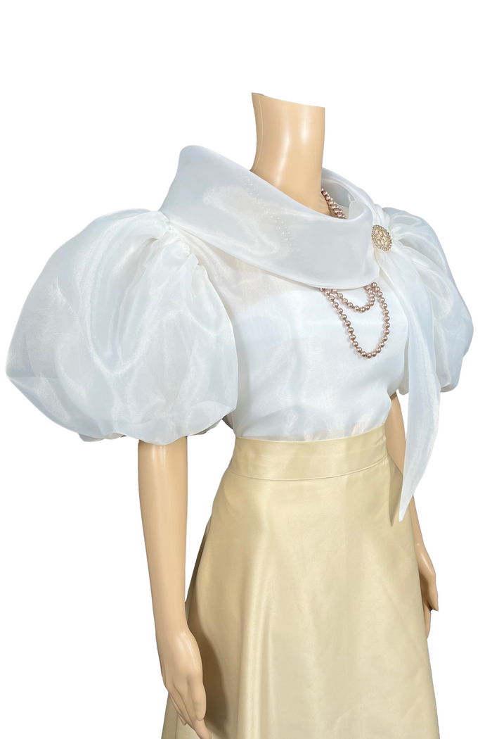 Sheer Cloud Filipiniana for Women