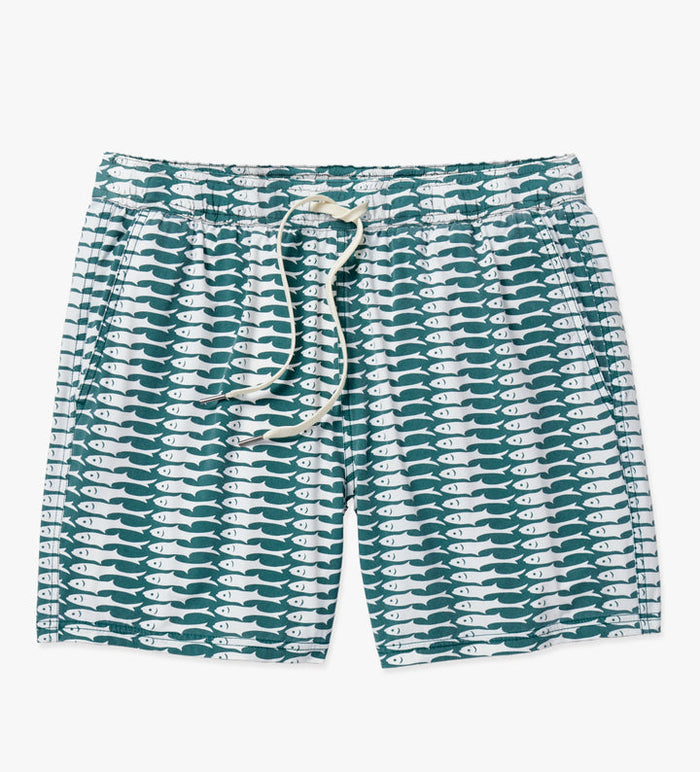 Green Sardine / Small