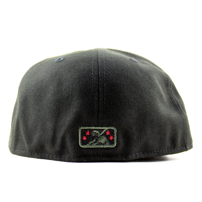 Fresno Grizzlies Grizzlies Paw Patch New Era 59Fifty Fitted Hat (Black and Green Under Brim)