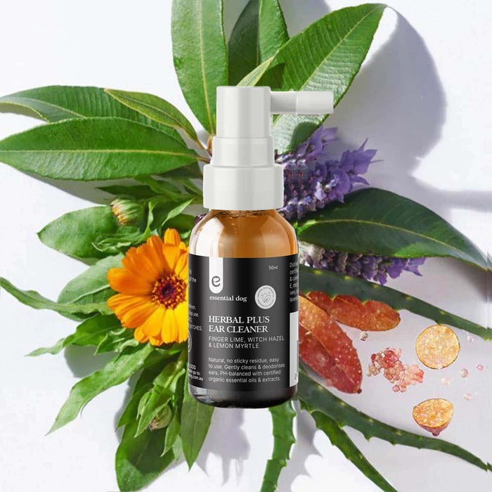 Herbal plus essential oil bottle with leaves and flowers on a white background.