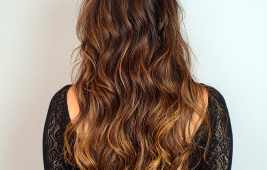 Highlights