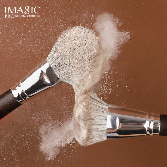 iMAGIC 21 pcs Professional Brush Set