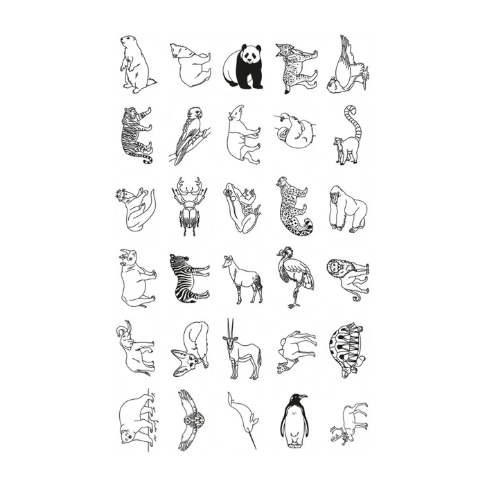 Kidywolf - KidyDraw - Refill Cards - Animals Around The World & Oceans & Pirates - Content 2