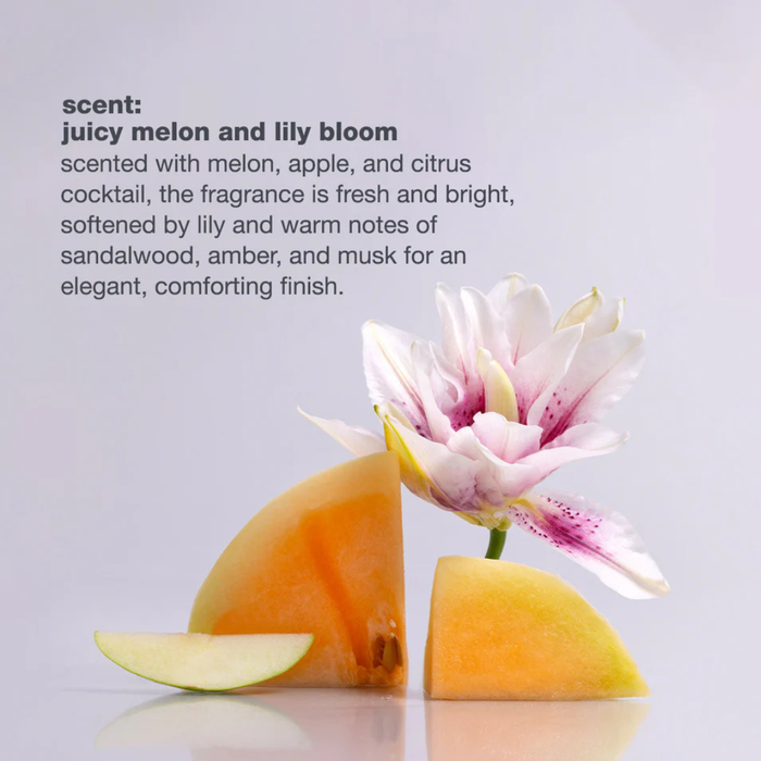 Melon slices and a flower with descriptive text about fragrance on a light gray background