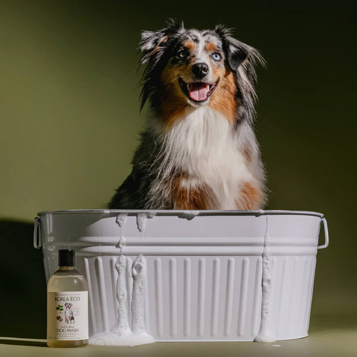 Plastic bottle of sweet marjoram and rosalina natural dog wash sitting in front of a bathtub with a dog in it.