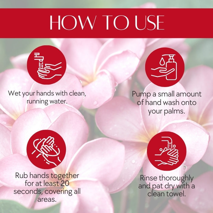 Natuur Liquid Hand Wash with Goodness of Aloe, Frangipani and Rose  1 litre