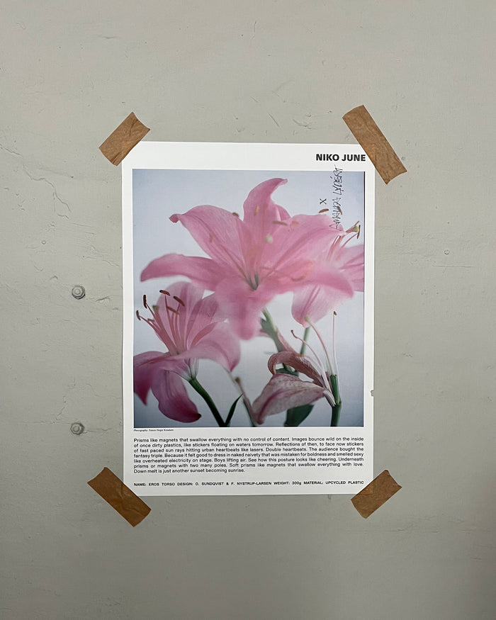 NIKO JUNE POSTER 50 x 70 CM