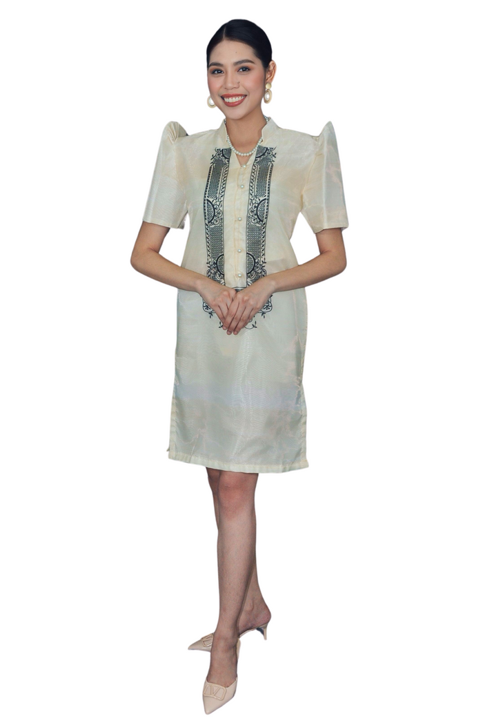 Organza Filipiniana Dress for Special Events