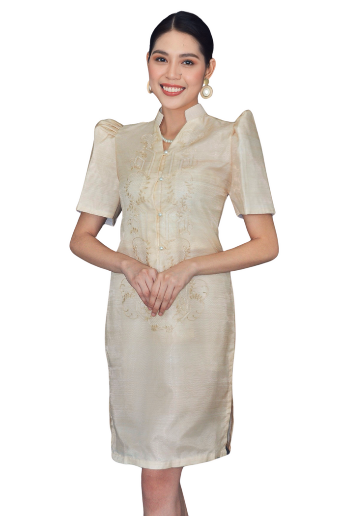 Organza Filipiniana Barong Dress
