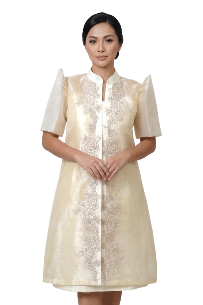 Filipiniana Barong Dress