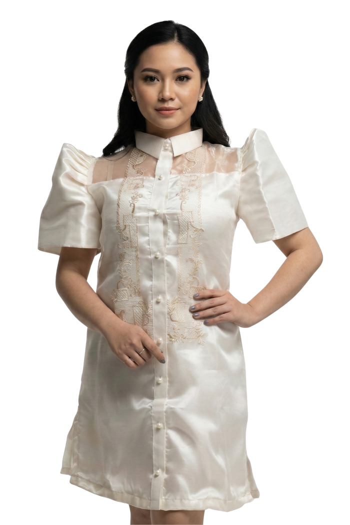 Organza Filipiniana Barong Dress