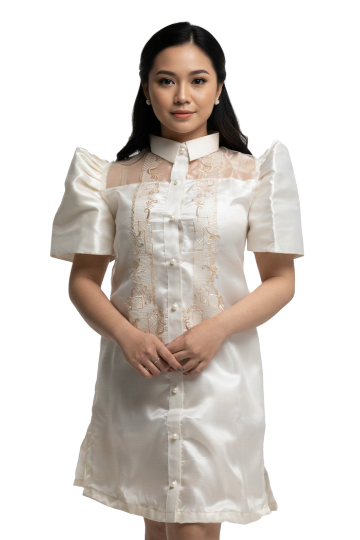 Modern Filipiniana Dress