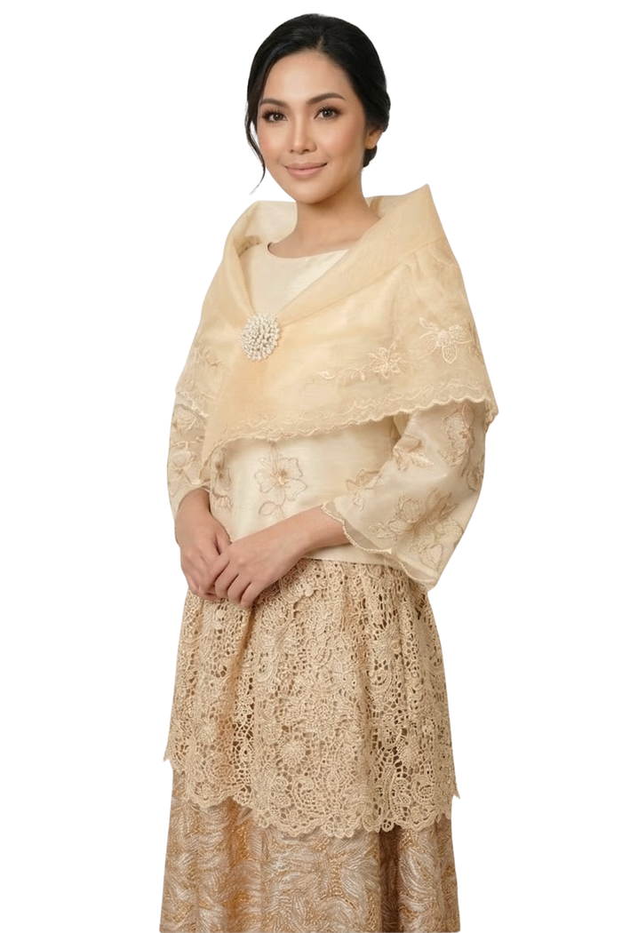 Traditionall Filipiniana Dress
