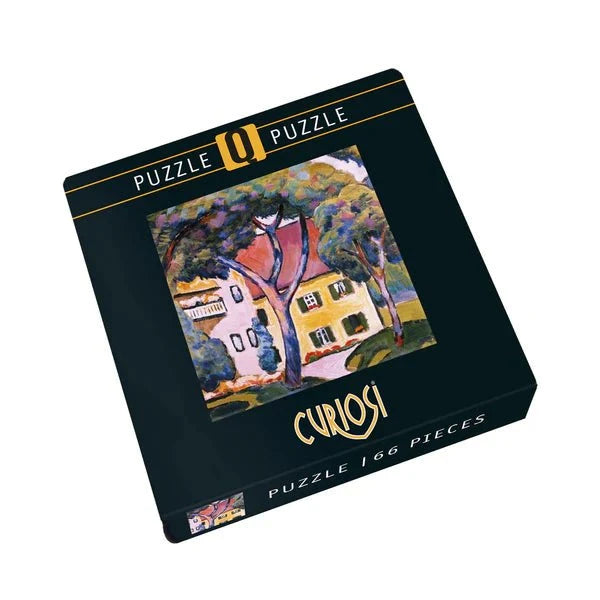 Curiosi puzzle box with a painting of a house on the cover