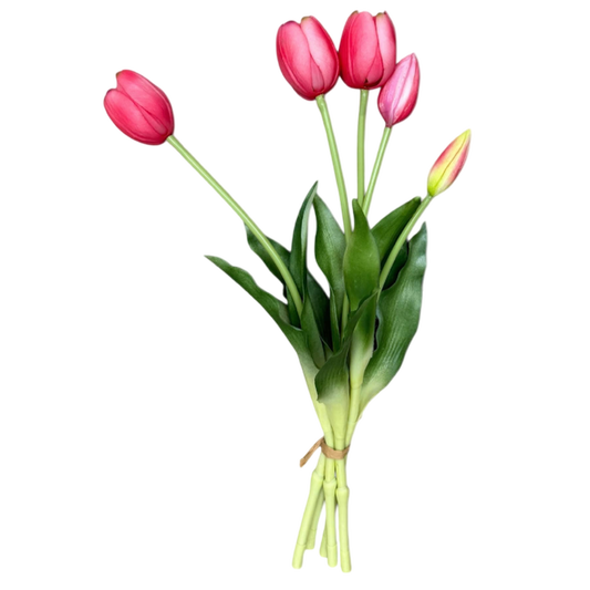 Bouquet of pink tulips with green leaves on a white background
