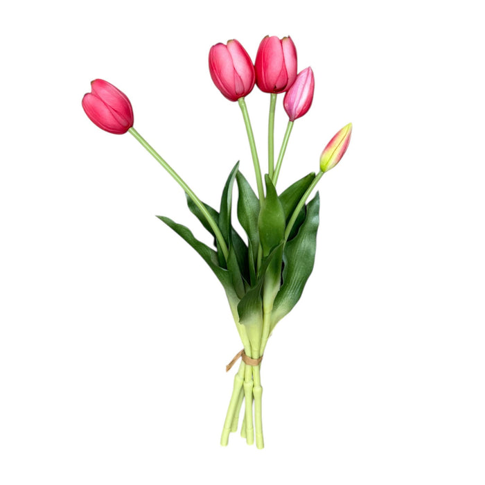 Bouquet of pink tulips with green leaves on a white background