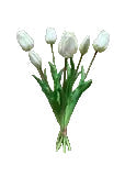 Real Touch Tulips-19"