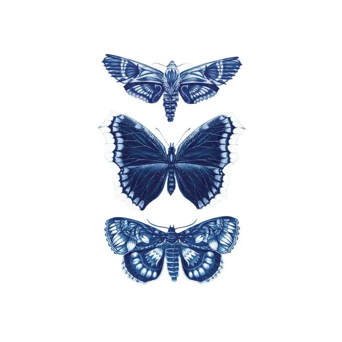 Sapphire Moths Tattoo