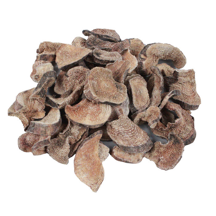 Saqta Root