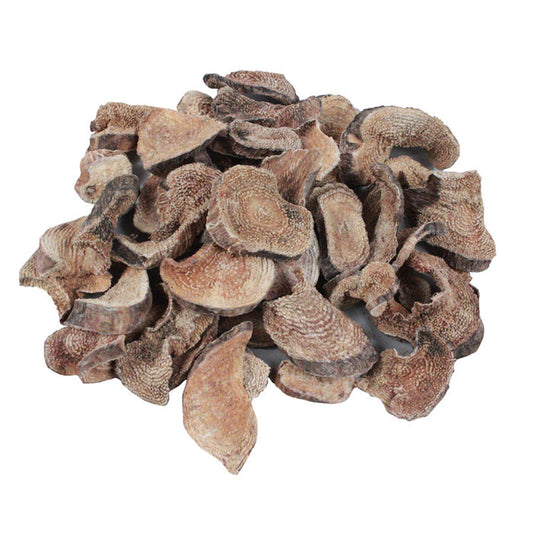 Saqta Root