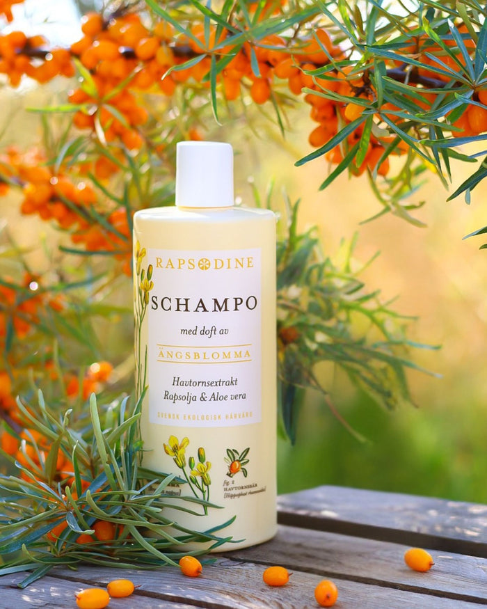 Ekologiskt schampo med havtorn från Rapsodine med rapsolja och aloe vera, naturlig hårvård i Sverige