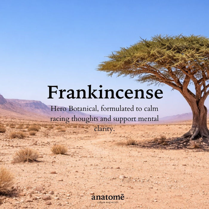 Sleep Candle Gift Set with Frankincense Sleep Oil Practice - anatomē