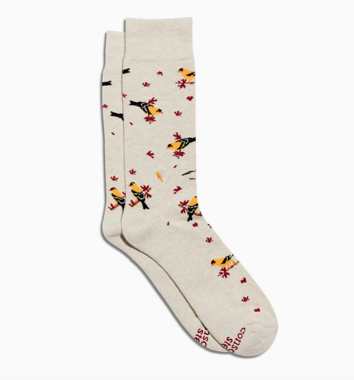 Socks that Protect Goldfinches