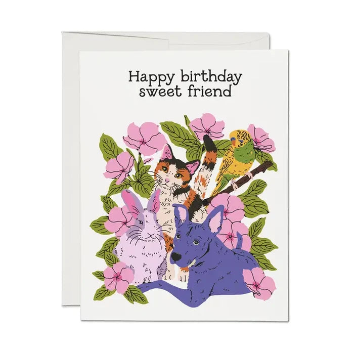 Sweet Friend Greeting Card