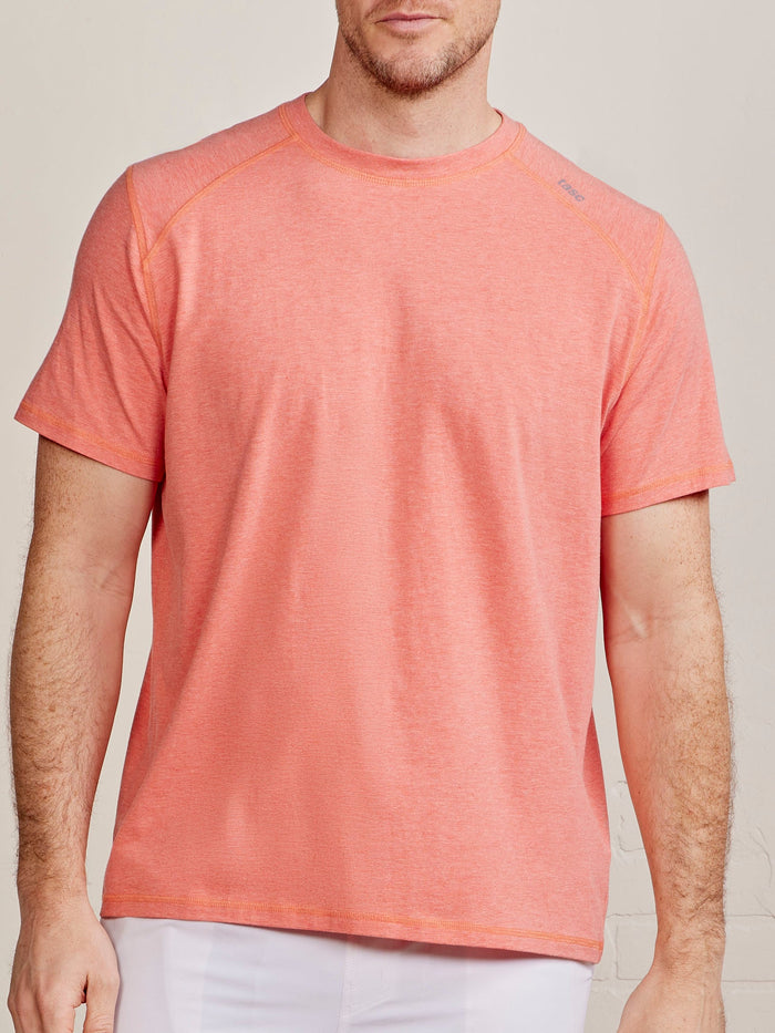 Hibiscus Heather-827 / Small