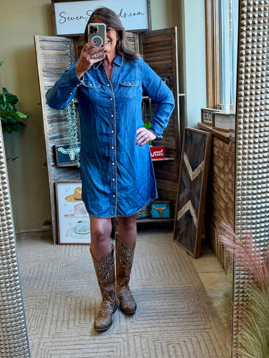 Blue denim snap-front dress with long sleeves, whip-stitched seams, and side pocket