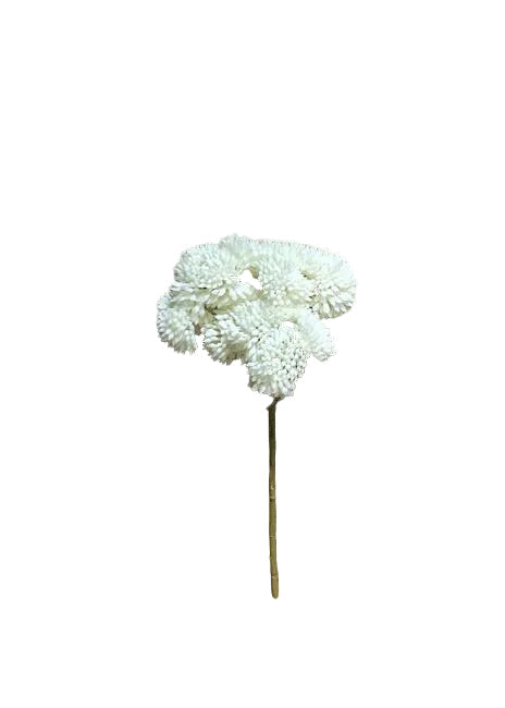 White Real Touch Sedum Pick